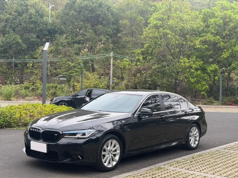 BMW 5-Series, 2013