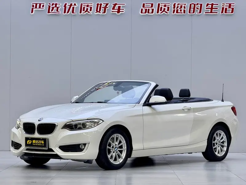 BMW 2-Series (Import), 2015