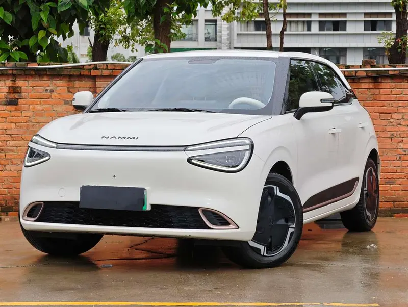 Dongfeng Yipai Nami 01, 2024