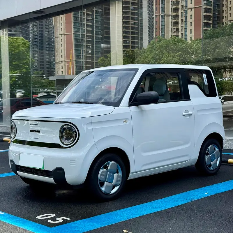 Galaxy Panda, 2024