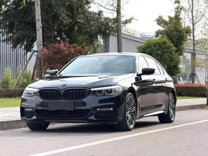 BMW 5-Series 530Li xDrive M Sport, 2018 — фото 1