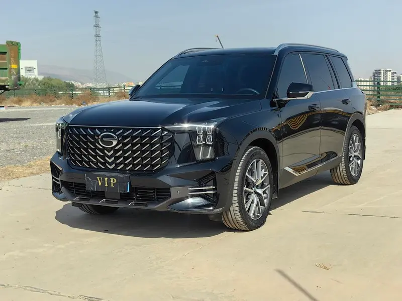 GAC Trumpchi Trumpchi GS8 Navigator Series 2.0TGDI 2WD Luxury Smart Connected Edition, 2024 — фото 1