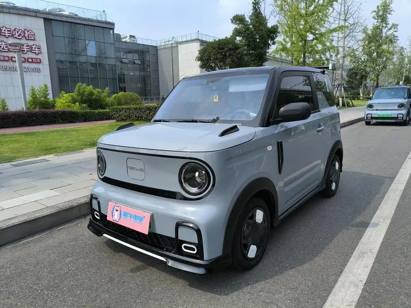 Galaxy Panda, 2024