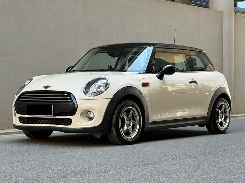 MINI MINI, 2014