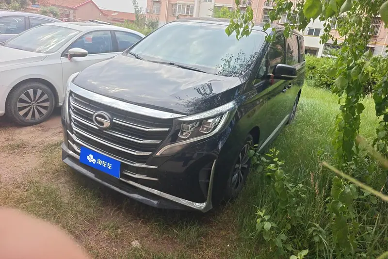 GAC Trumpchi Trumpchi M8, 2021