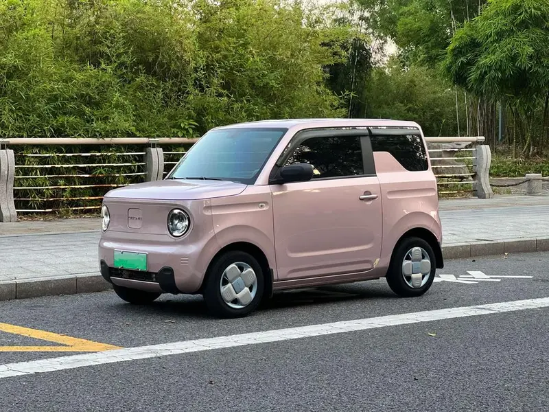 Galaxy Panda 200km mini, 2023 — фото 1
