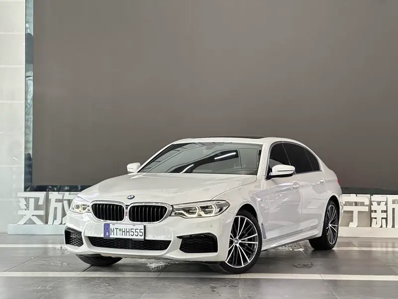 BMW 5-Series 530Li Leading Version M Sport, 2020 — фото 1