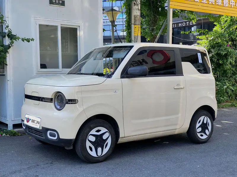 Galaxy Panda, 2025