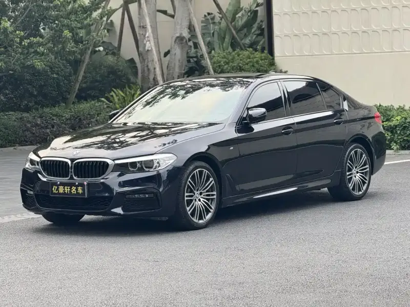 BMW 5 Series, 2019