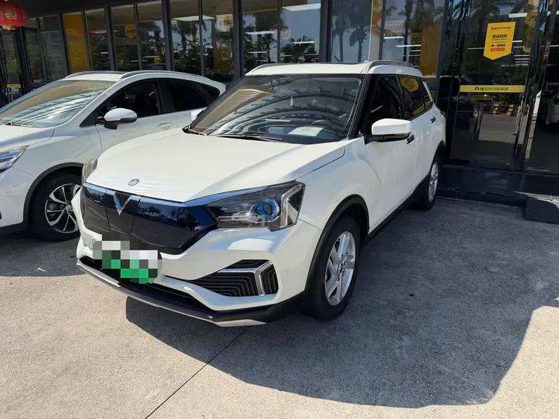 Venucia T60 EV, 2019