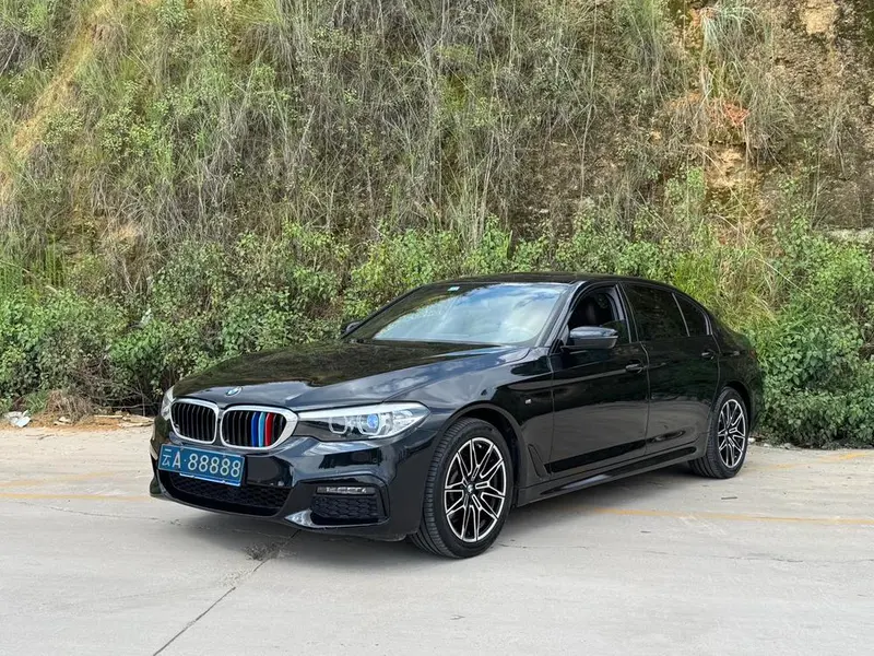 BMW 5-Series 525Li M Sport, 2019 — фото 1