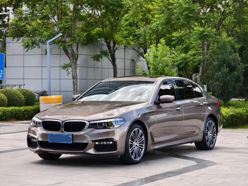 BMW 5-Series Facelift 530Li Leading Version M Sport, 2018 — фото 1
