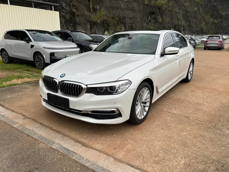 BMW 5-Series 530Li Leading Version Luxury, 2019 — фото 1
