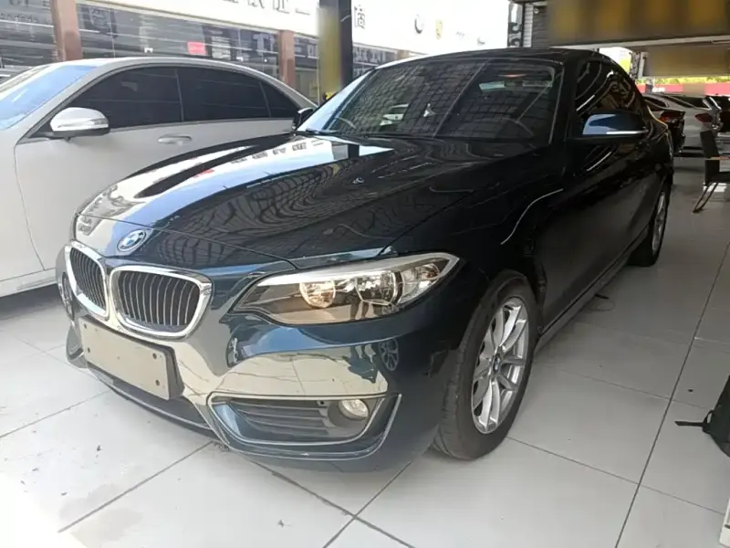 BMW 2 Series (Import), 2016 — фото 1