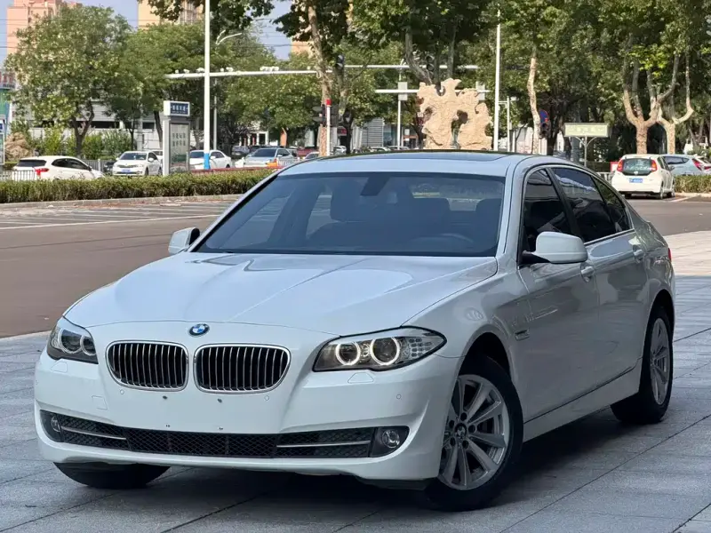 BMW 5 Series, 2013 — фото 1