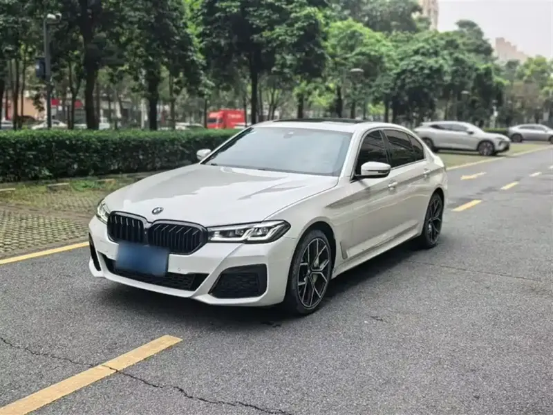 BMW 5 Series, 2020