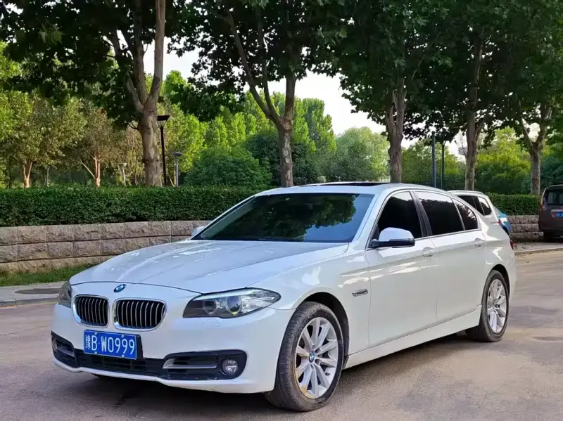 BMW 5 Series, 2015 — фото 1