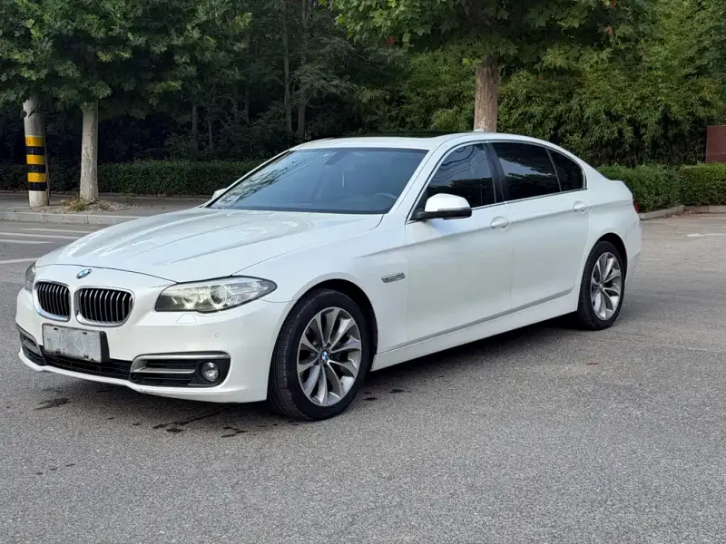 BMW 5 Series, 2015 — фото 1