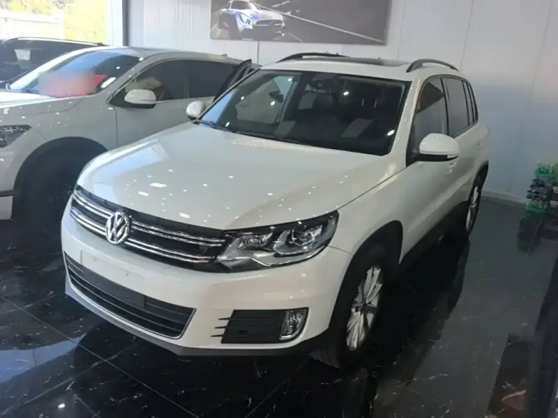 Volkswagen Tiguan, 2019 — фото 1