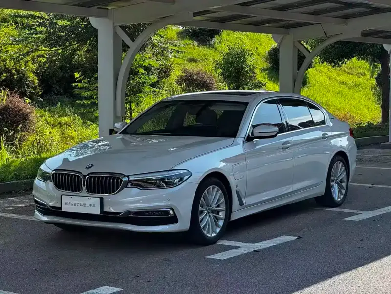 BMW 5 Series New Energy, 2019 — фото 1