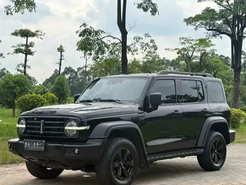 Tank 300, 2021