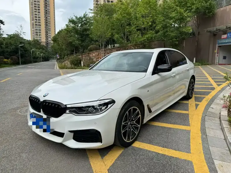 BMW 5 Series, 2019