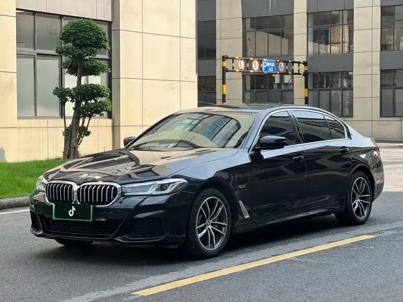 BMW 5 Series New Energy, 2021 — фото 1