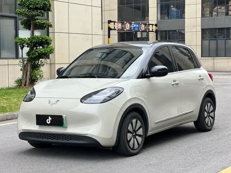 Wuling Bingo, 2024