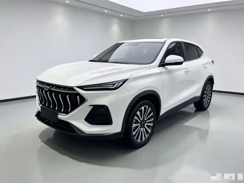 Oshan Oushang X5, 2021