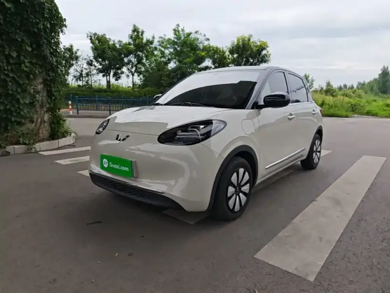 Wuling Bingo, 2024