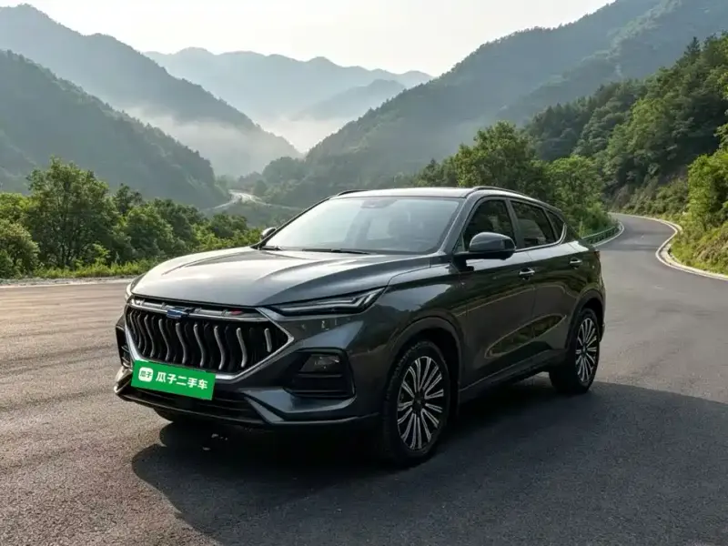 Oshan Oushang X5, 2021