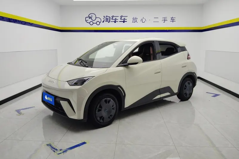 BYD Seagull, 2024
