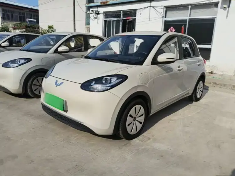 Wuling Bingo, 2024