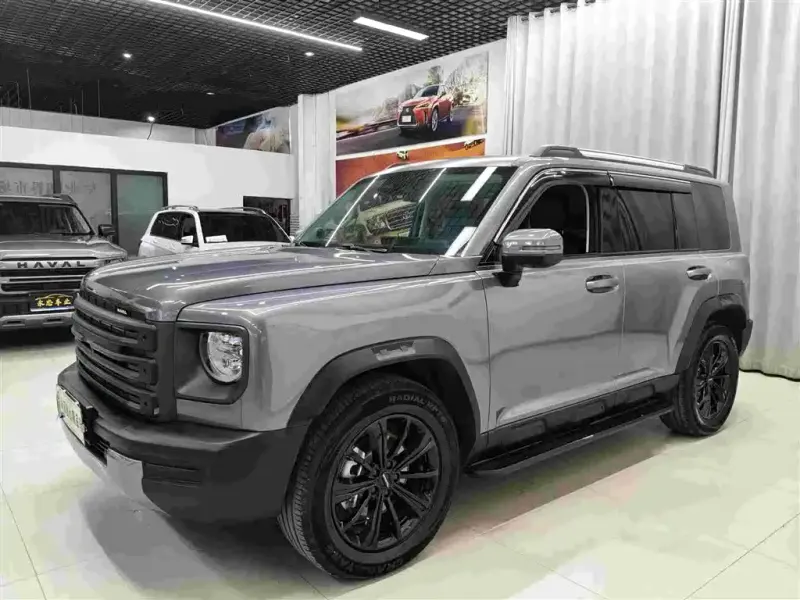 Haval Menglong New Energy, 2025