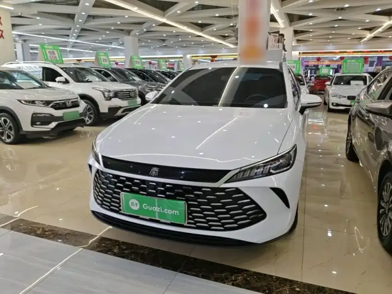BYD Qin PLUS, 2025 — фото 1