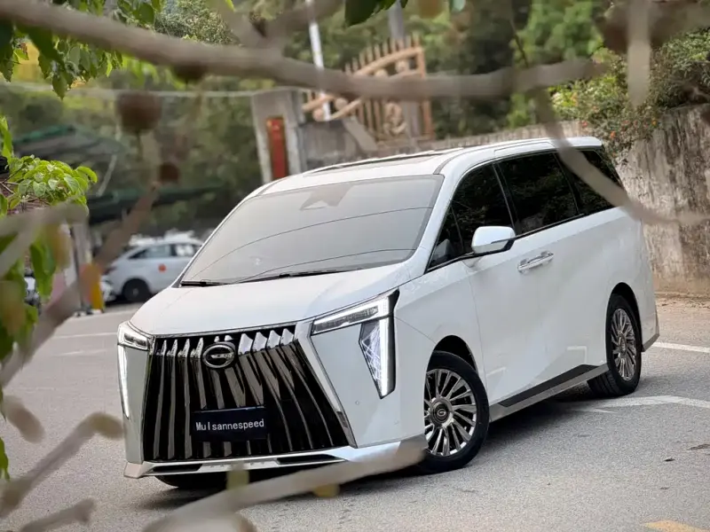 GAC Motor Trumpchi M8, 2023