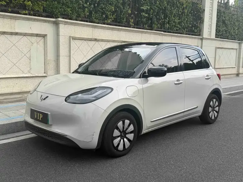 Wuling Bingo, 2024