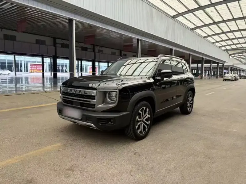 Haval Big Dog, 2024
