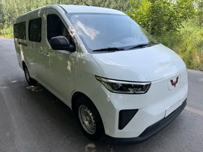Wuling Yangguang, 2024