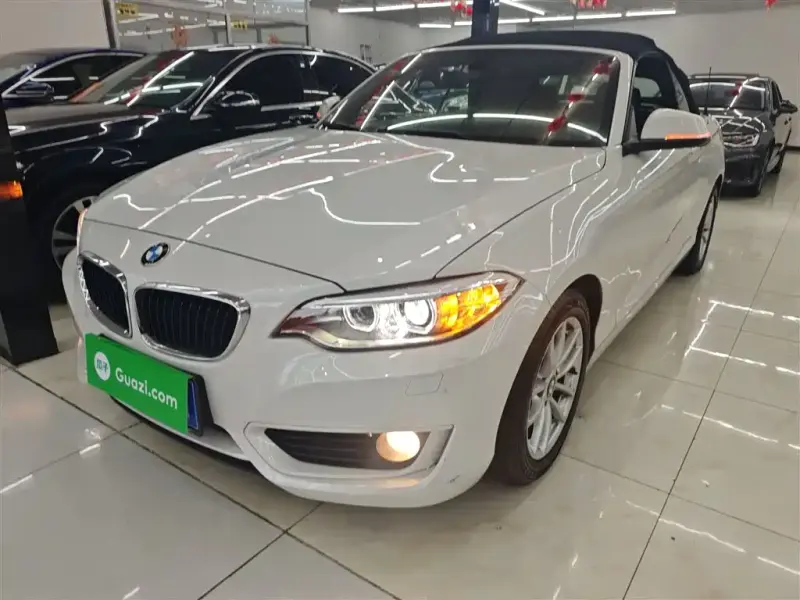 BMW 2 Series (Import), 2016