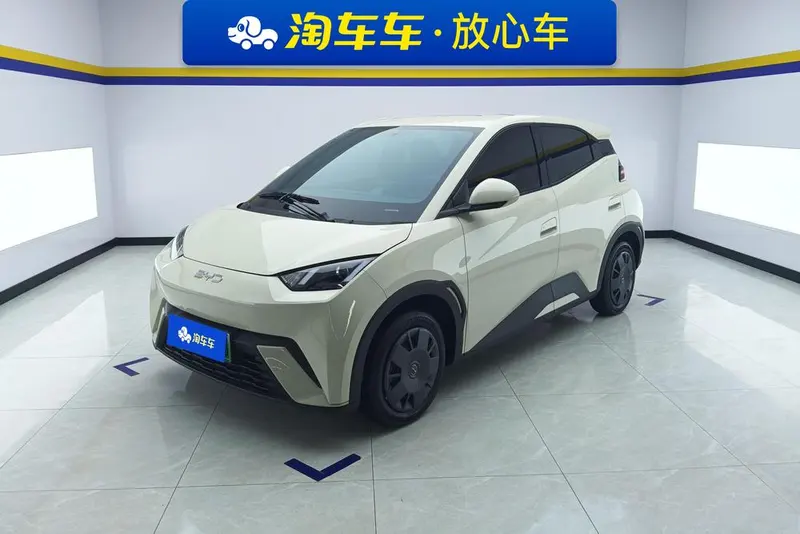 BYD Seagull, 2024