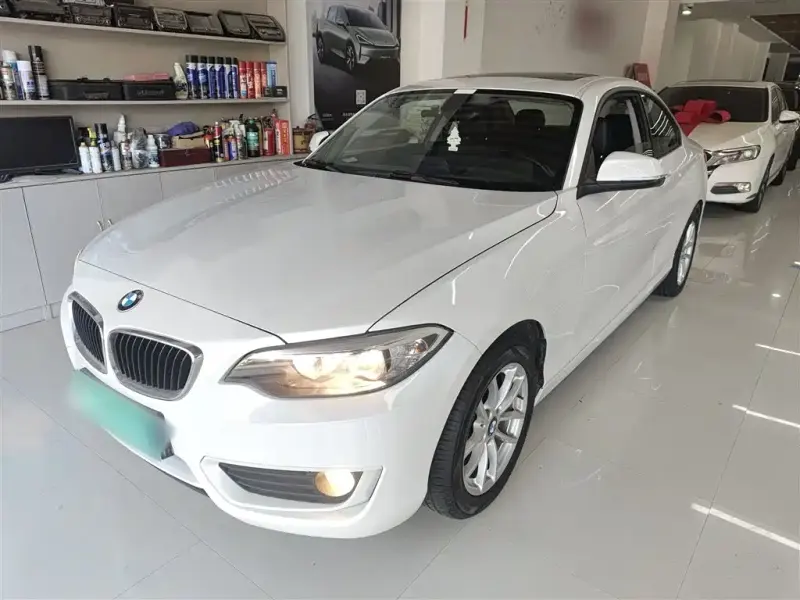 BMW 2 Series (Import), 2019