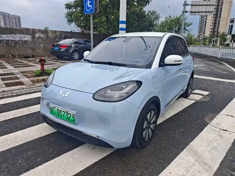 Wuling Bingo, 2024