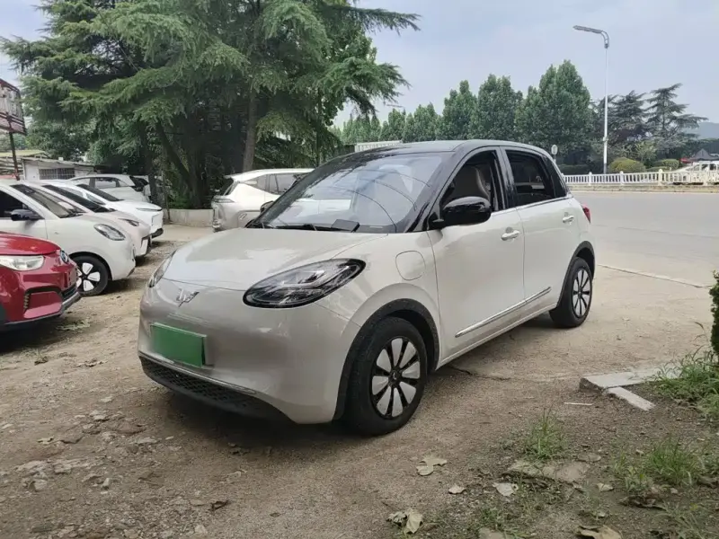 Wuling Bingo, 2023