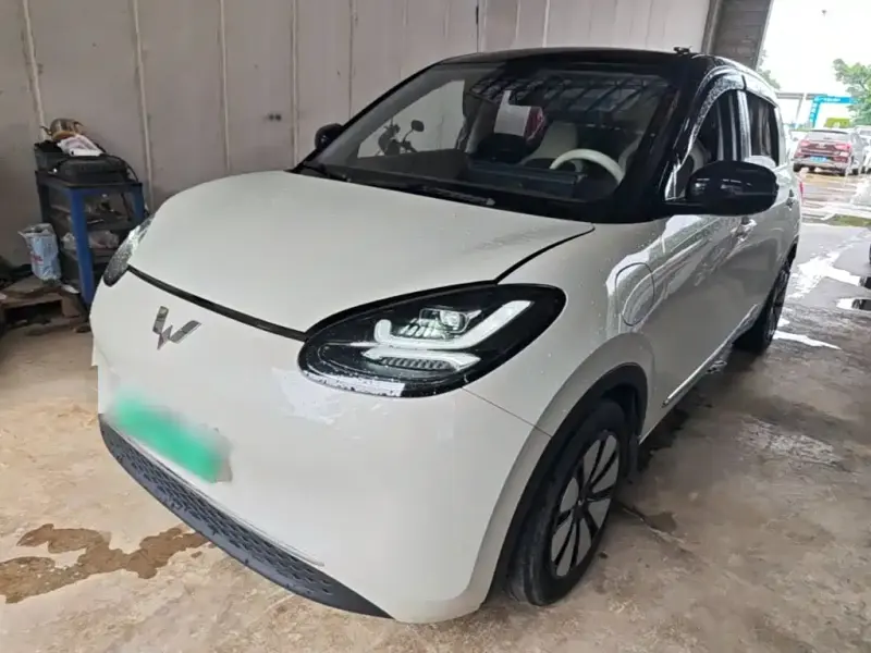 Wuling Bingo, 2024