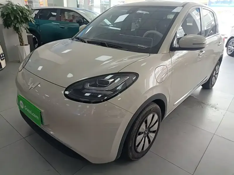 Wuling Bingo, 2024