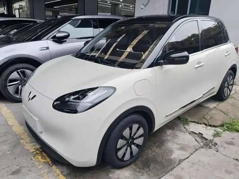 Wuling Bingo, 2024