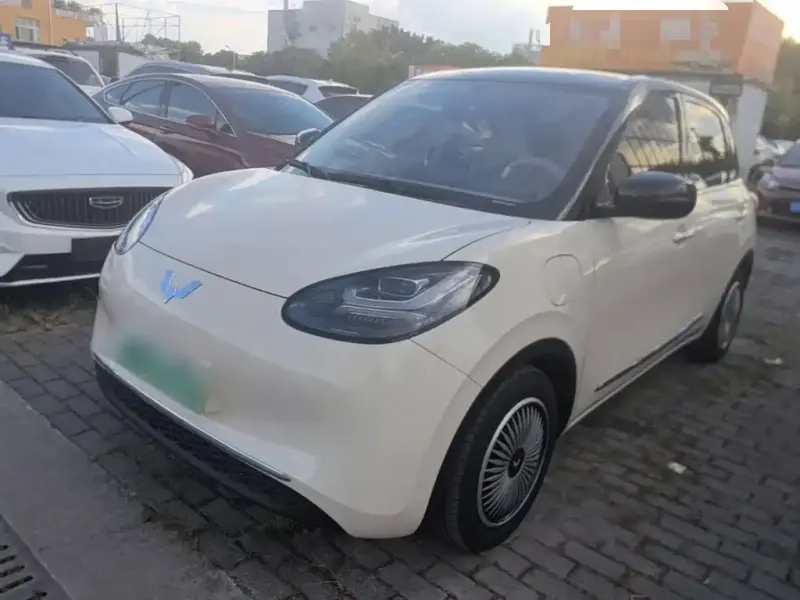 Wuling Bingo, 2025