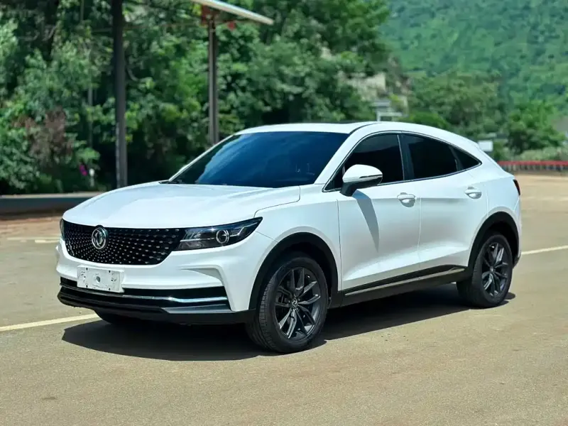 Fengguang ix5, 2020