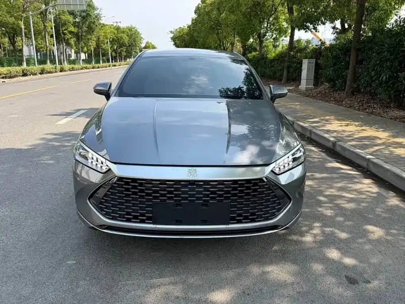 BYD Qin PLUS, 2024